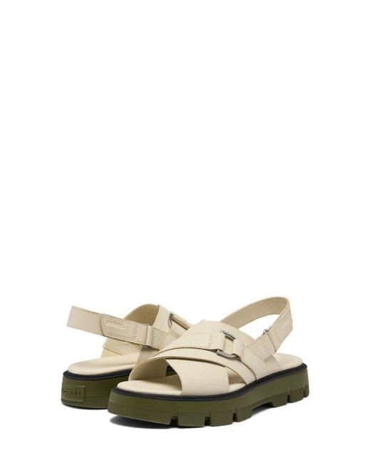 Sorel Natural Rein Cb Crisscross Sandal