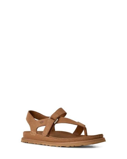 Ugg Brown Goldengaze Toe Post Suede Sandal