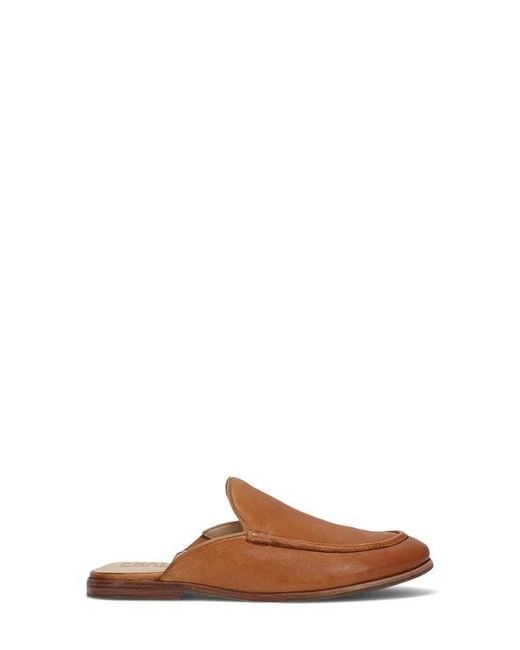 Frye Brown Faith Mule