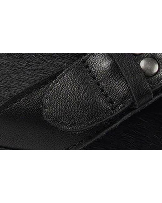 Zigi Black Hilo Pointed Toe Flat