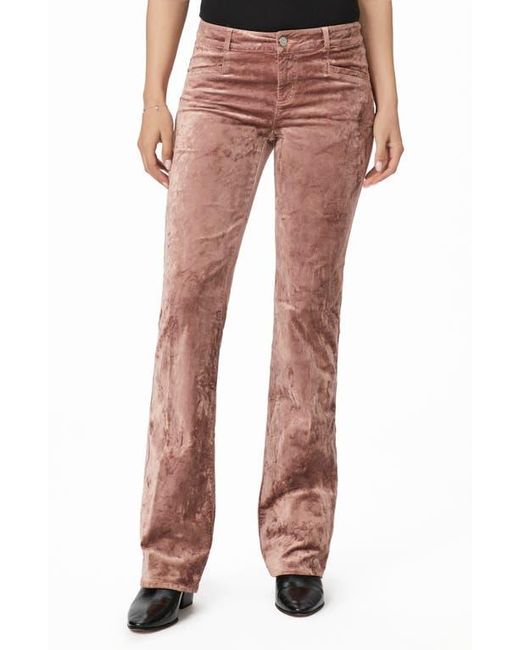Bootcut Velvet Raspberry PAIGE Sloane Low Rise Bootcut Velvet Pants | Lyst