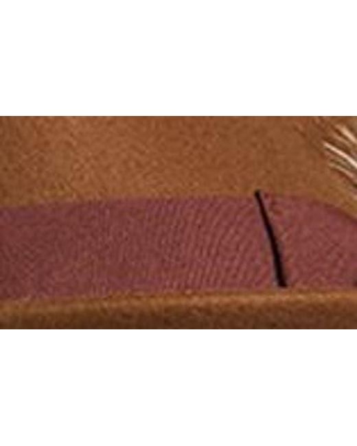 Brixton Brown Gain Wool Fedora for men