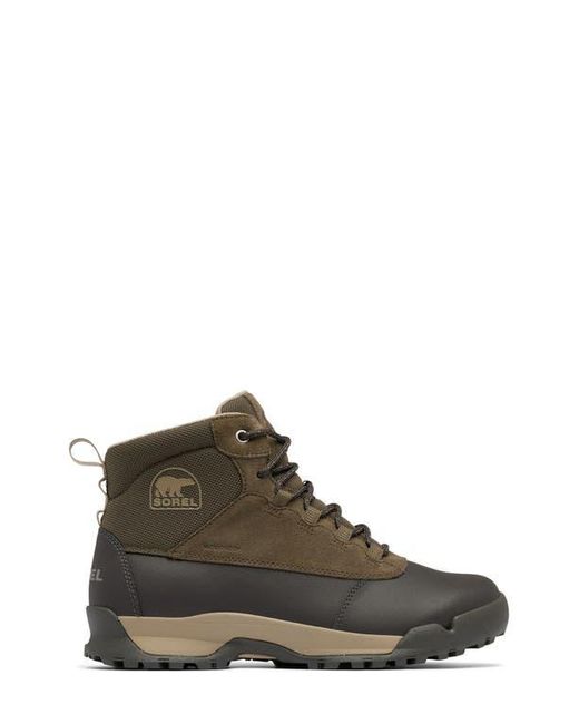 Sorel Brown Buxton Lite Plus Waterproof Boot for men