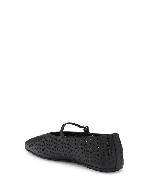 Jeffrey Campbell Black Khloe Perforated Square Toe Flat