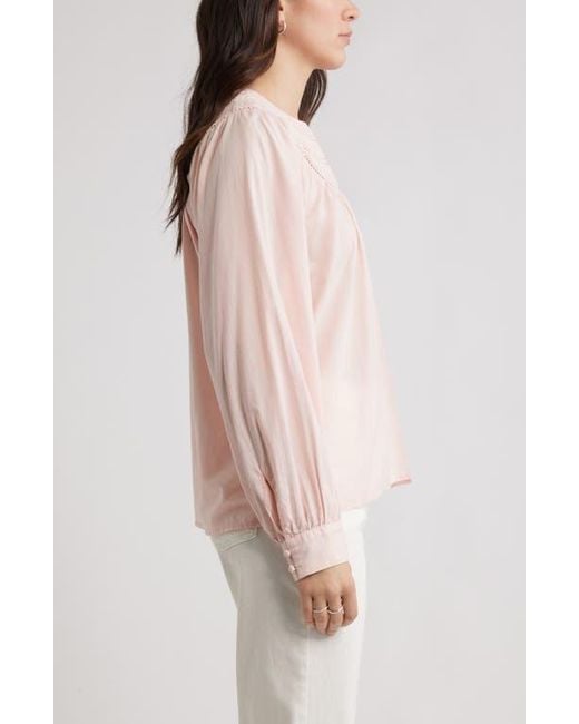 Caslon Multicolor Cotton Voile Popover Top