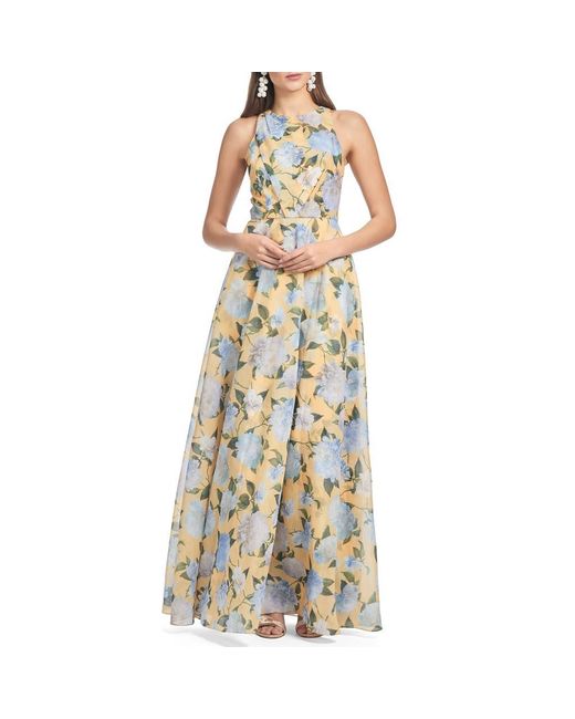 Sachin Babi Women's Metallic Kate Draped Floral-Print Organza Gown