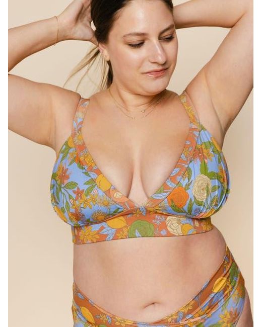 Kitty and Vibe Blue Banded Triangle Bikini Top