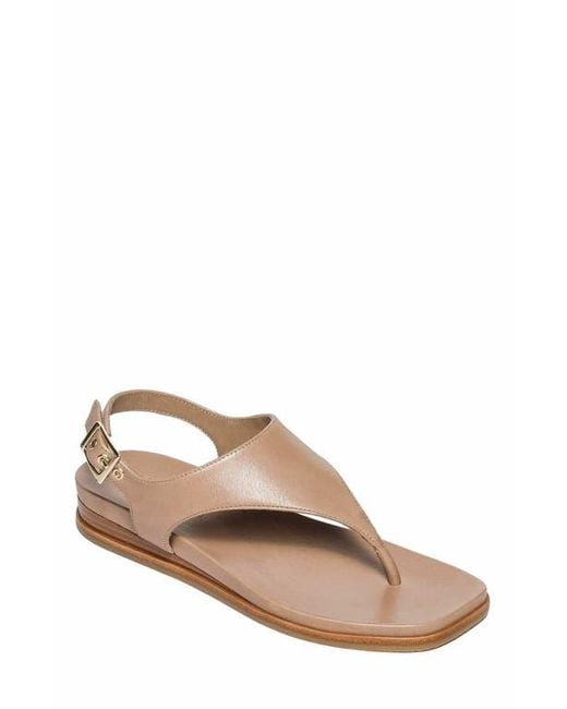 Bernardo Brown Concord Demi-Wedge Sandal