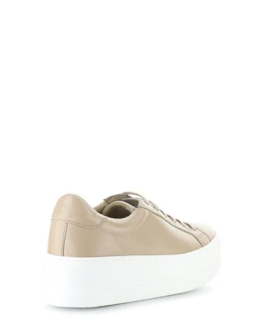 Bos. & Co. White Maya Platform Sneaker