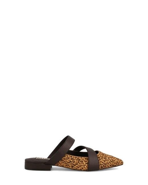 MIA Brown Abie Pointed Toe Mule