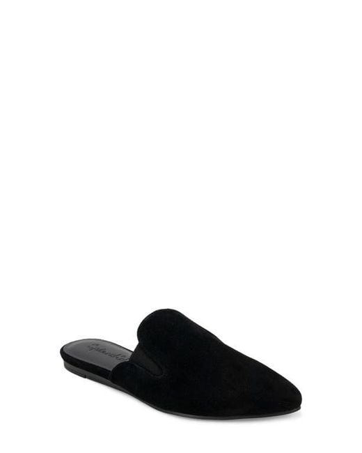 Splendid Black Liza Pointed Toe Mule
