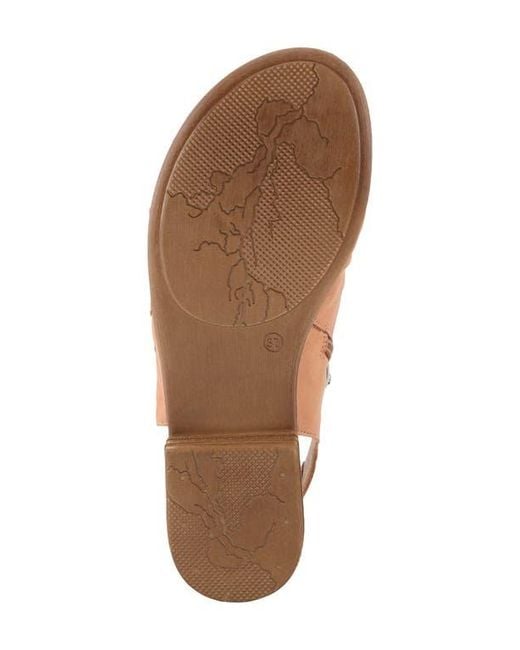 Spring Step Brown Jalaya Sandal