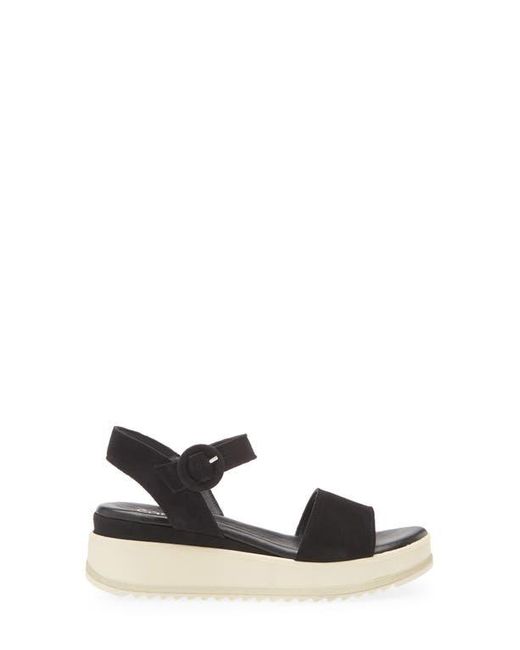 Cordani Multicolor Arielle Ankle Strap Platform Wedge Sandal