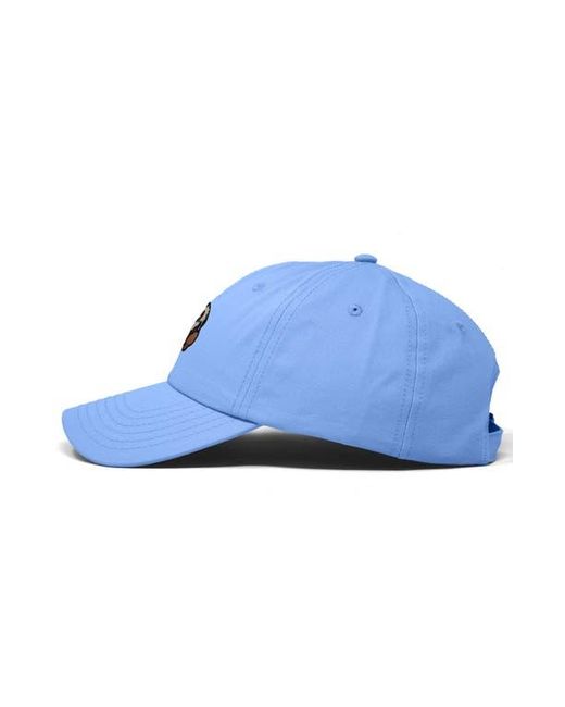 Alix Blue Capybara Donut Embroidered Cap for men