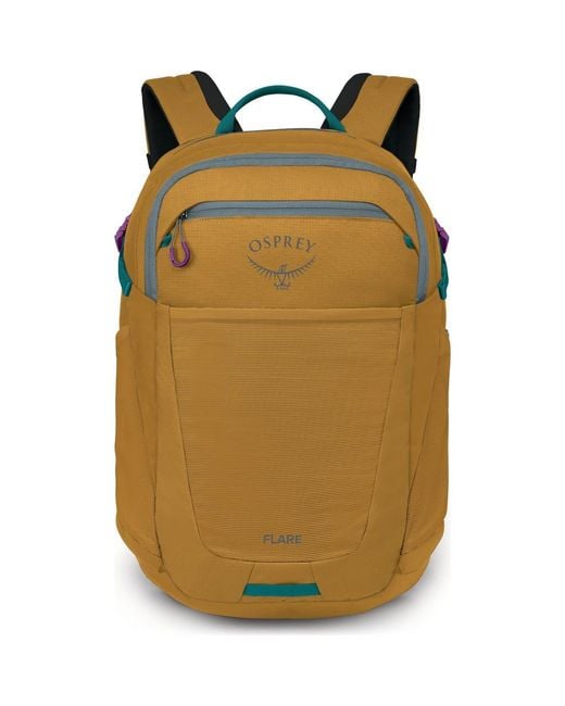 Osprey Multicolor Flare 27-Liter Backpack