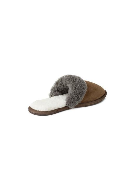 Celtic & Co. Brown British Shearling Mules for men