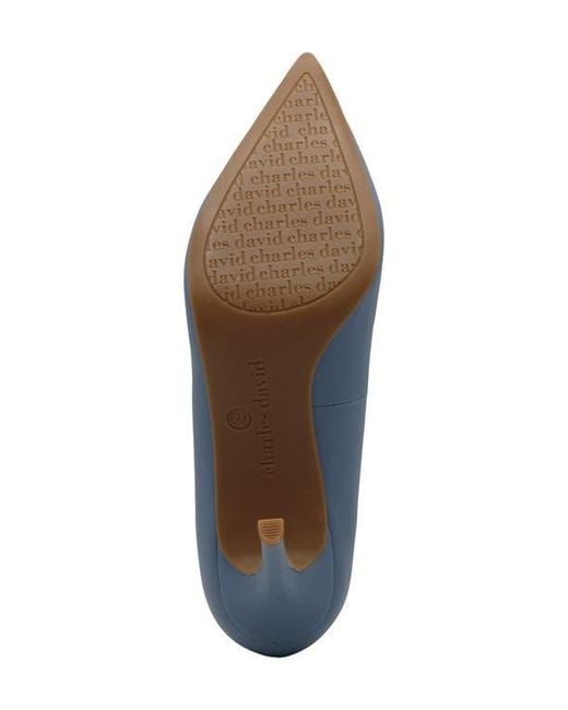 Charles David Blue Geno Pointed Toe Pump