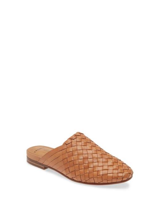 Frankie Brown Wallace Mule
