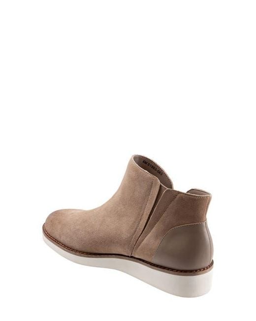 Softwalk® Brown Wesley Bootie