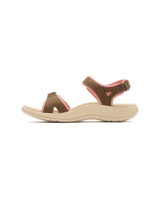 ABEO Pink Goleta