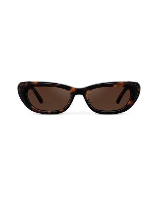 WMP Eyewear Brown Quinn