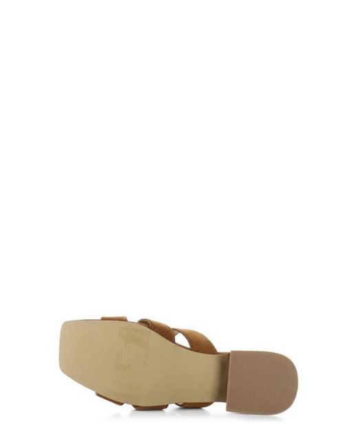 Bos. & Co. Brown Ellis Slide Sandal