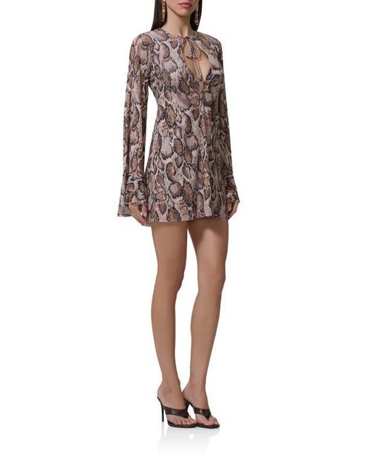 knee length dresses for ladies Mara Lace Mini Dress main image 0