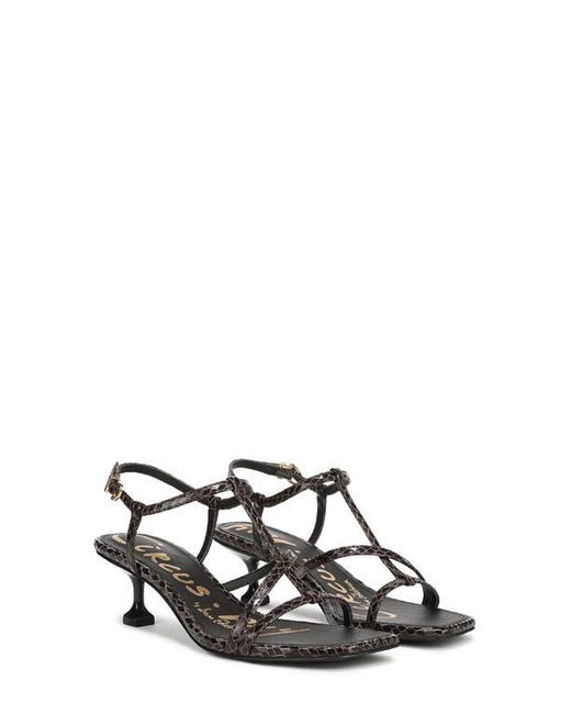 Circus by Sam Edelman Black Jaida Snakeskin Embossed Strappy Sandal