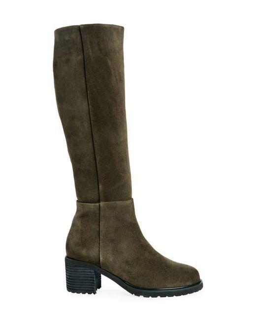 Chocolat Blu Green Ninna Knee High Boot