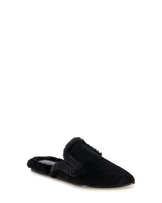 Splendid Black Liza Pointed Toe Mule