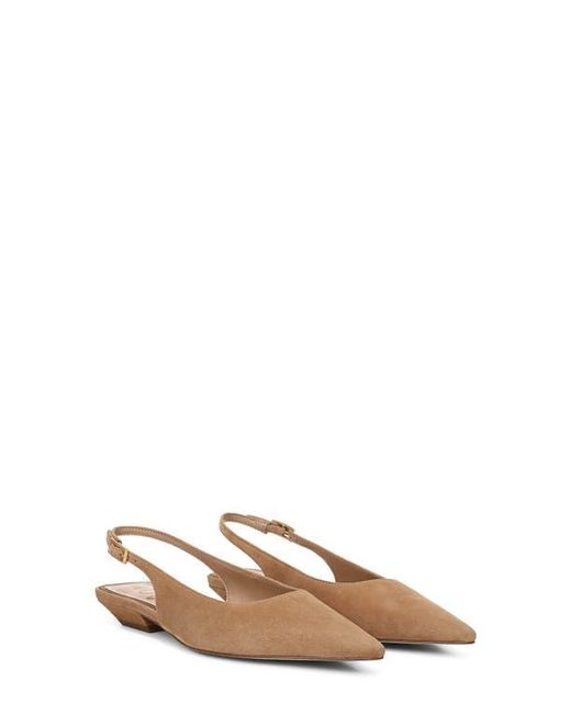 Sam Edelman Brown Netty Slingback Pointed Toe Flat