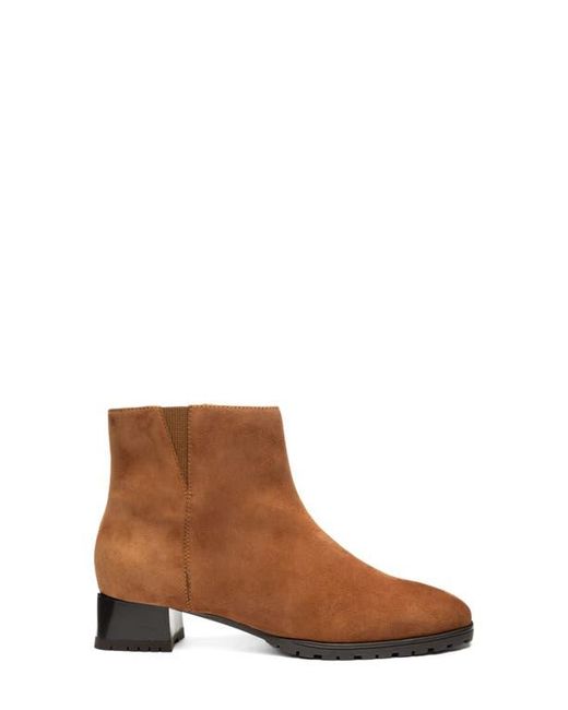 Ara Brown Galway Bootie