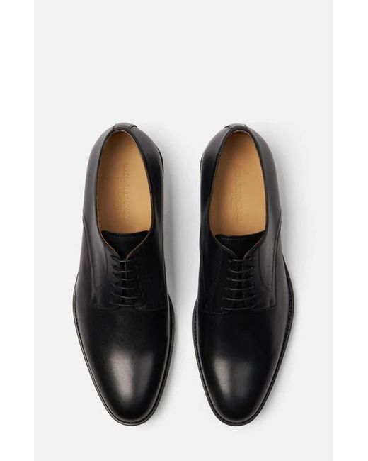 Scarosso Black Emilio Derbies for men