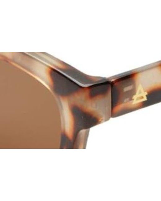 Aire Brown Sculptor 50Mm Rectangular Sunglasses