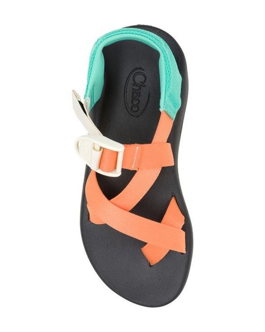 Chaco Blue Cushz Toe Loop Sandal
