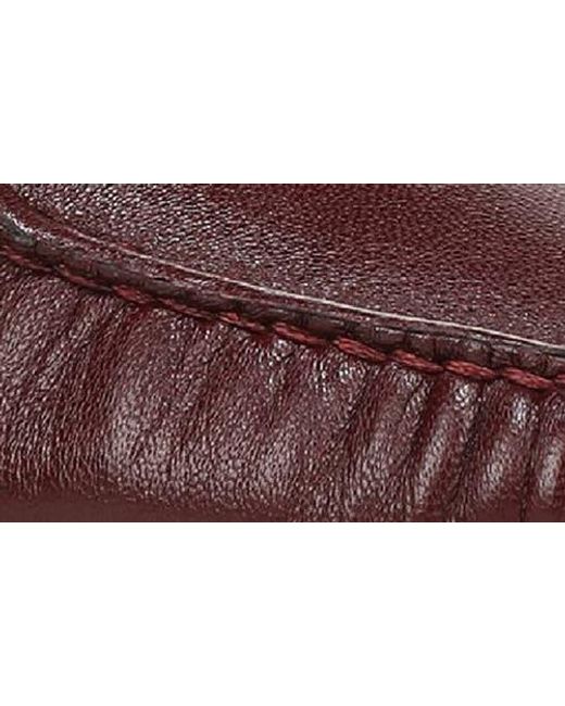 Sarto Brown Lainey Loafer
