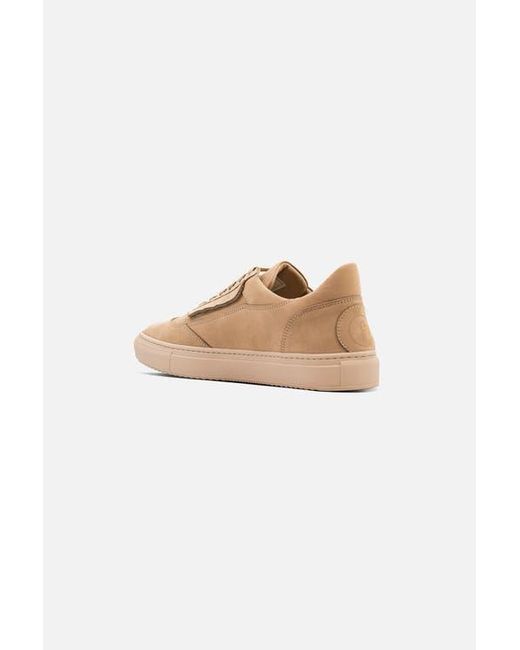 Fini Natural Bold Desert Sneaker