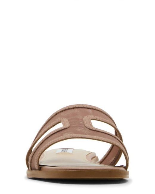 Steve Madden Brown Hazel Slide Sandal