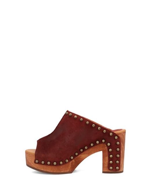Dingo Brown Echo Clog