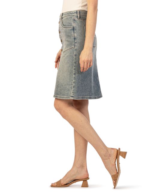 Kut From The Kloth Gray Rose Button Front Denim Skirt