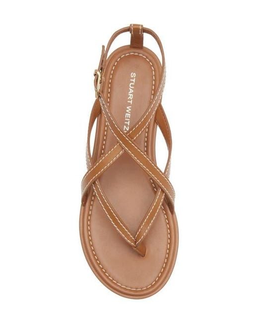 Stuart Weitzman Brown Park Sandal