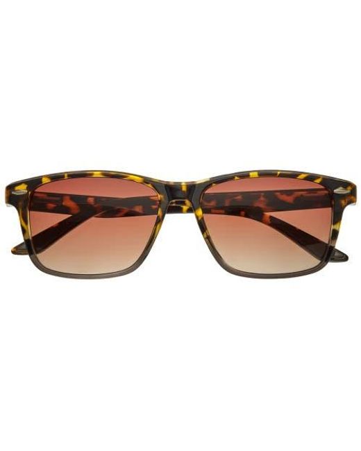 Simplify Brown Wilder Polarized Sunglasses