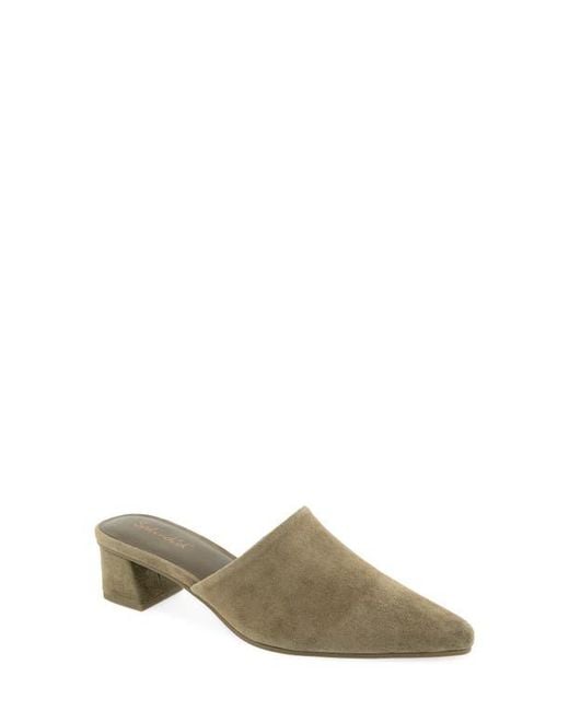 Splendid Green Lorelei Mule