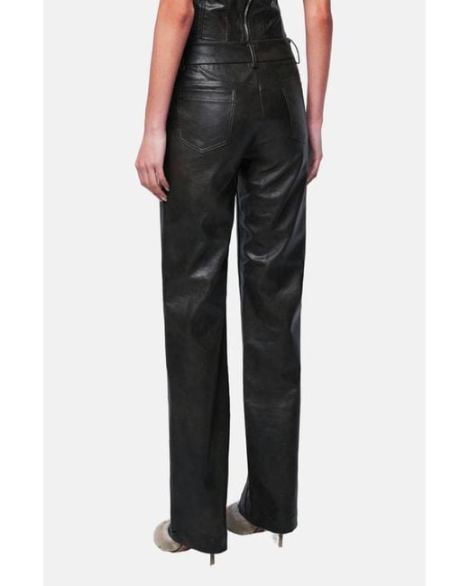OW Collection Black Bella Pants