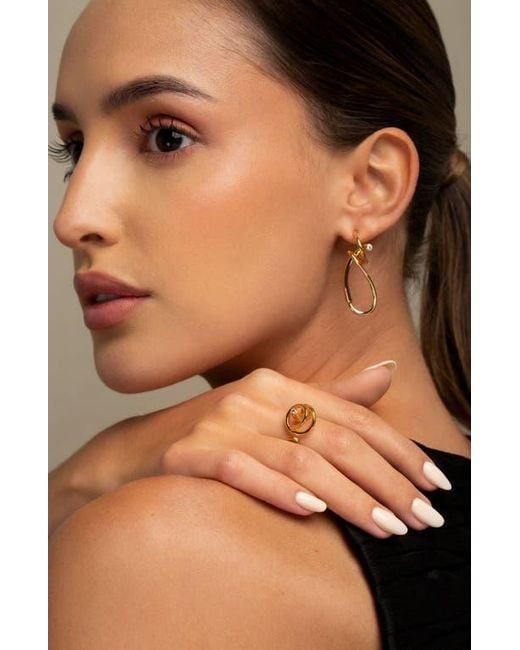 Pieretti Metallic Calei Zirconia Drop Earrings
