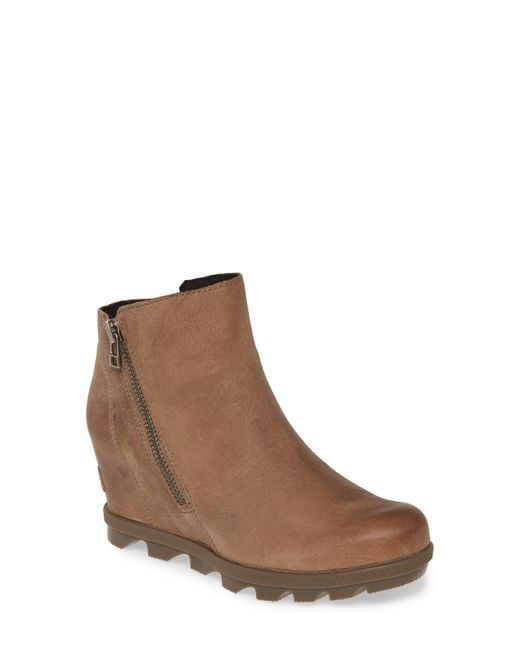 dark brown wingtip