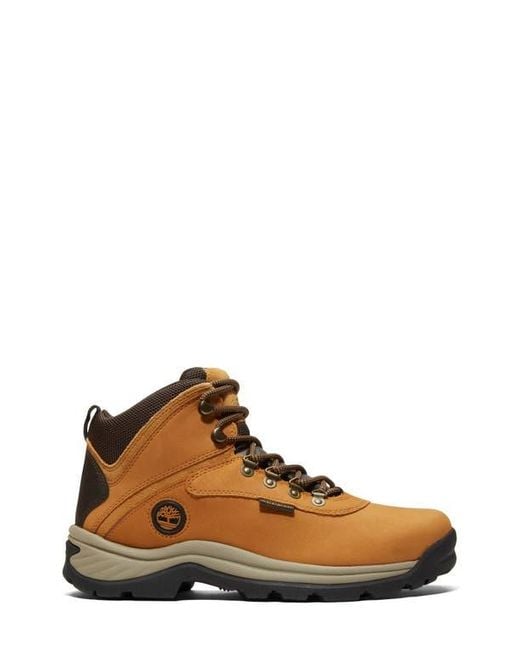 Timberland Natural Ledge Waterproof Hiking Boot for men