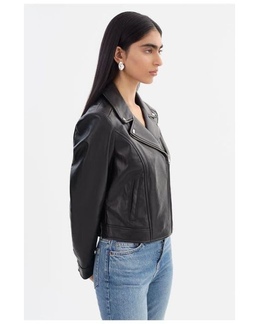 Lamarque Black Klea