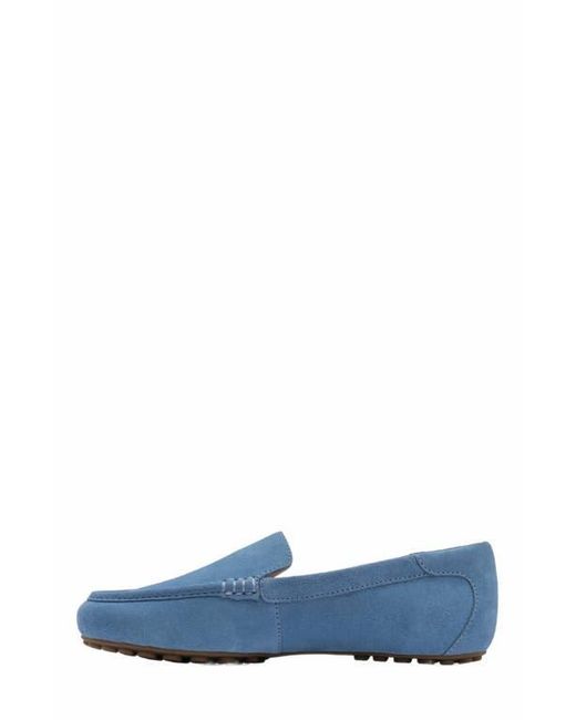 ABEO Blue Harbor Loafer