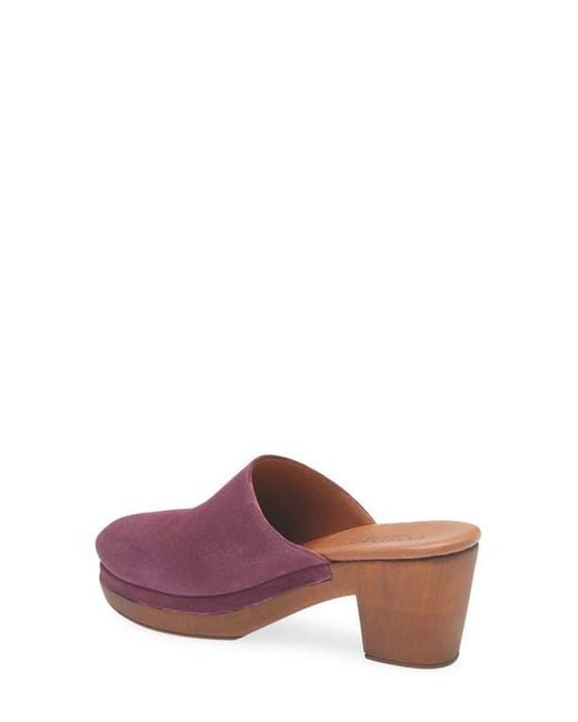 Cordani Purple Wanda Clog